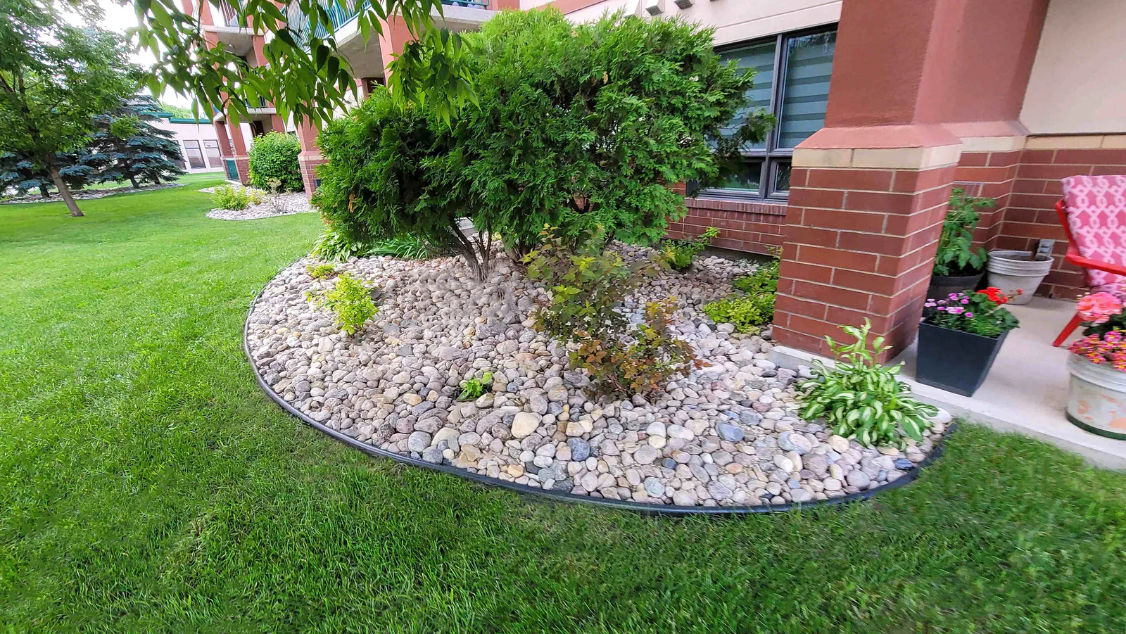 Riverstone garden bed installed around an evergreen shrub