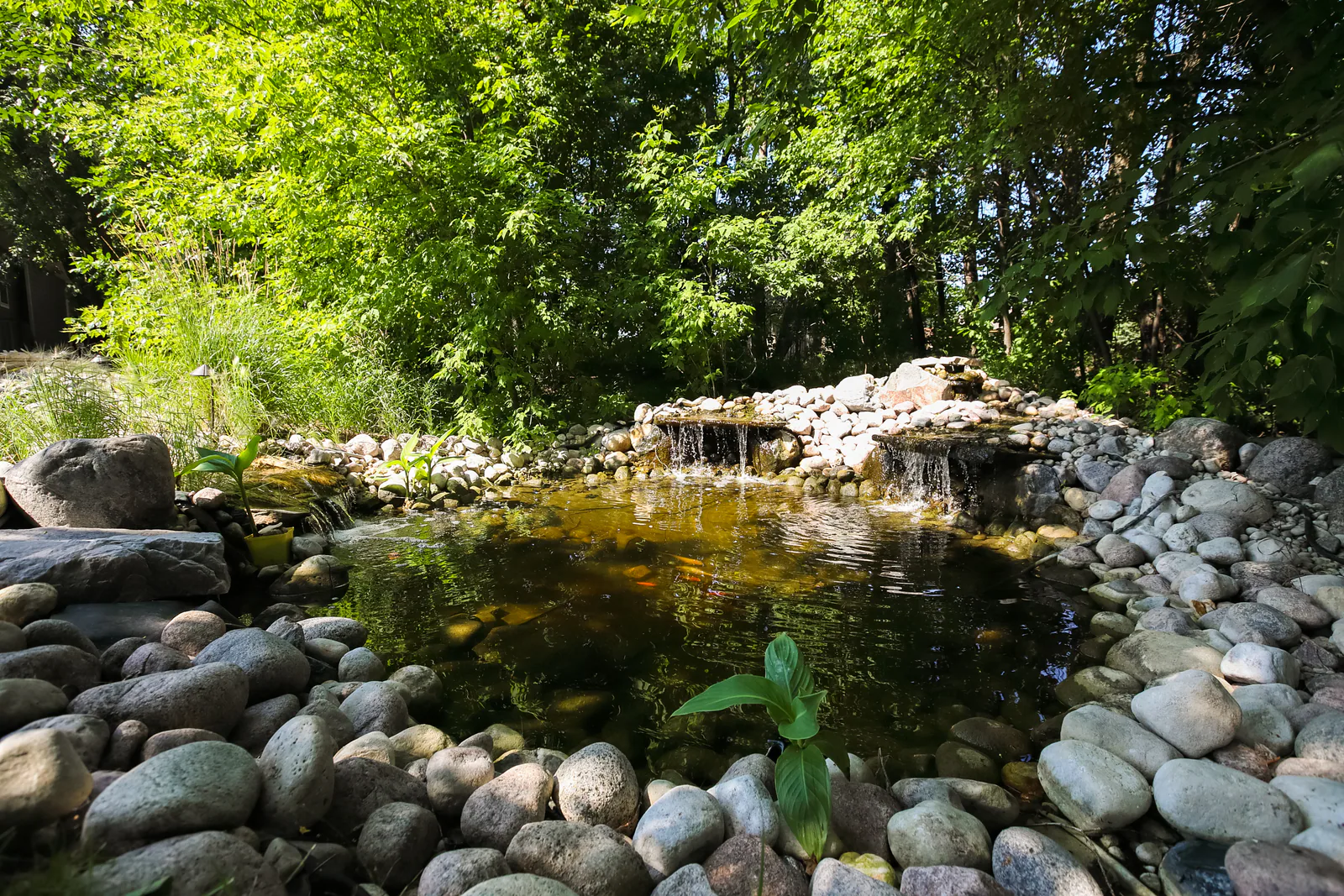 Backyard pond edged with rounded riverstone