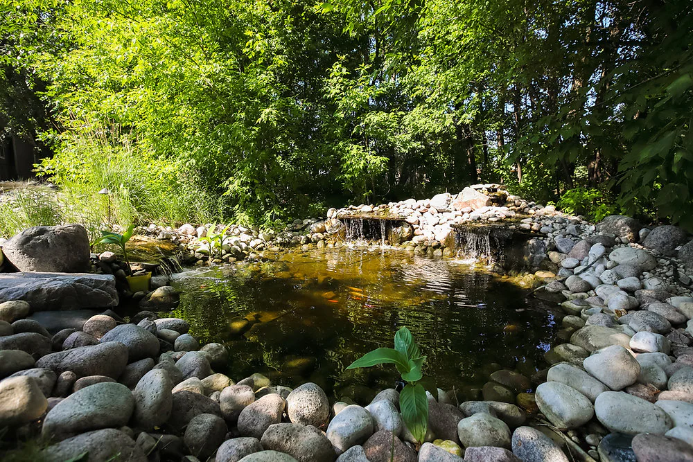 Riverstone-lined backyard pond surrounded by mature trees