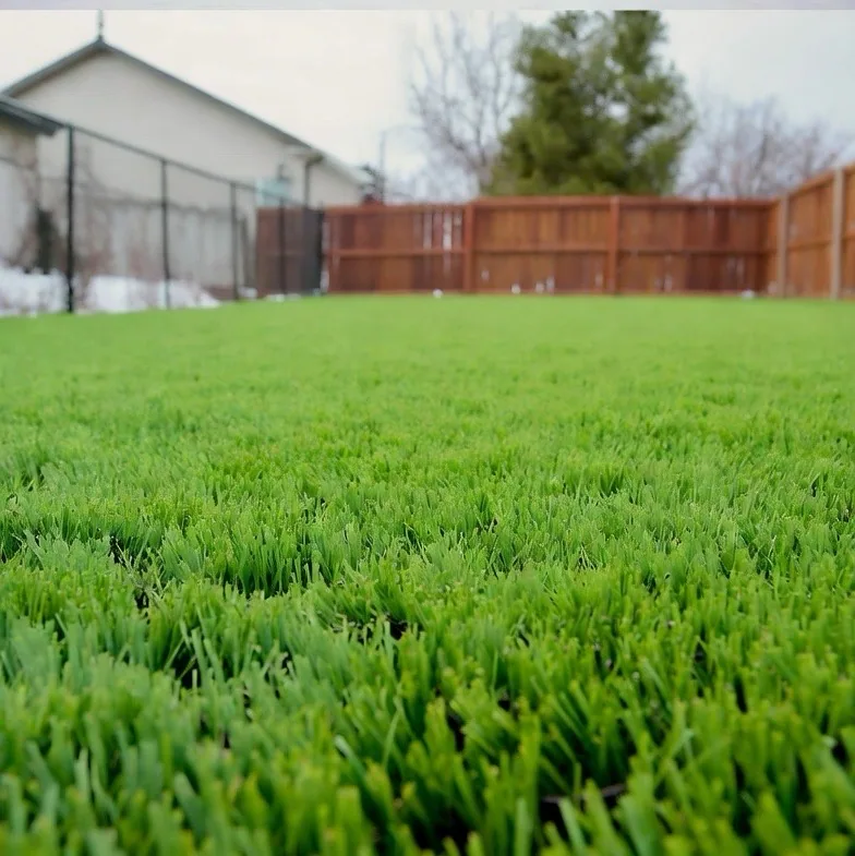 Synthetic turf lawn installed in a fenced Winnipeg backyard
