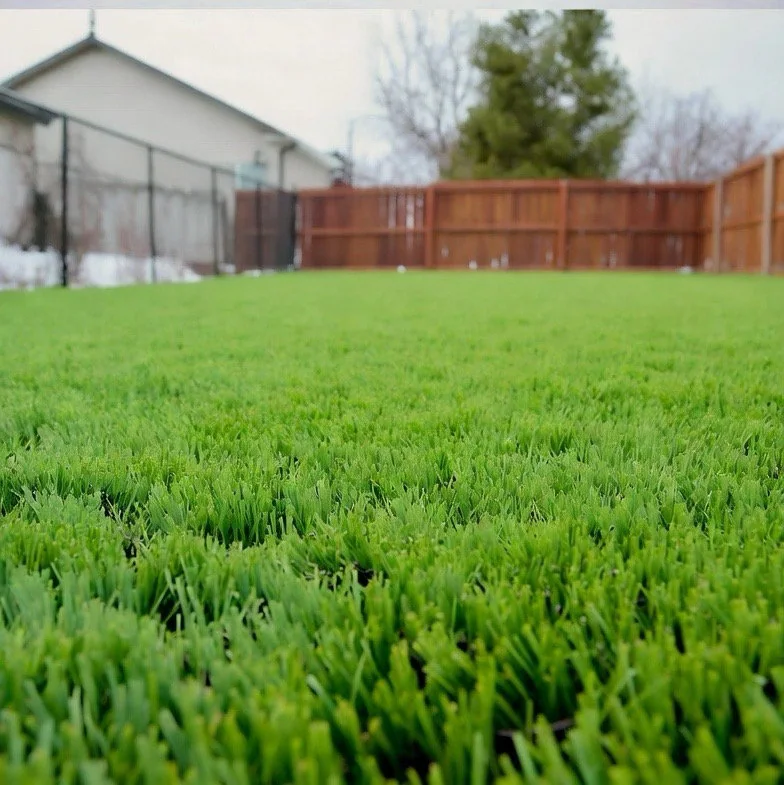 Synthetic turf lawn installed in a fenced Winnipeg backyard