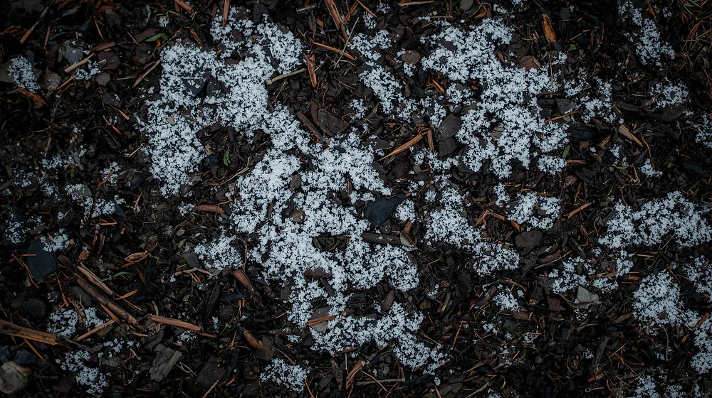 Frost on mulch and soil in a winter garden bed