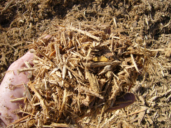 Close-up of red wood mulch