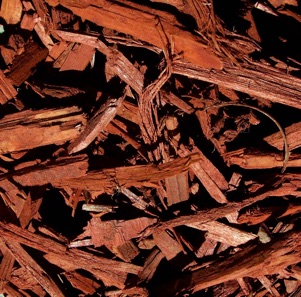 Close-up of red wood mulch